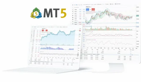 From Charts to Execution: Building a More Efficient Professional Trading Experience